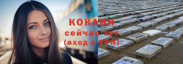 ешки Верхний Тагил