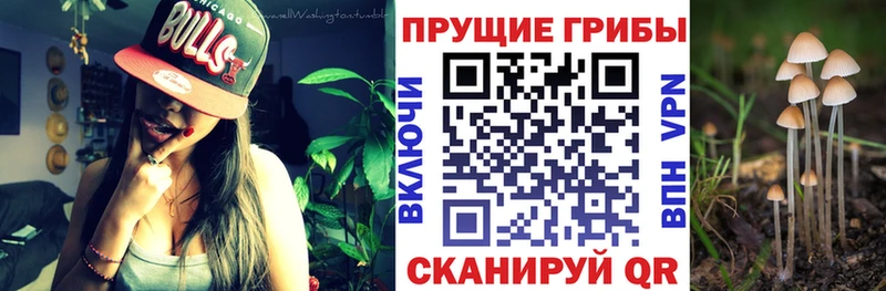 как найти закладки  Рыбинск  Галлюциногенные грибы мицелий 